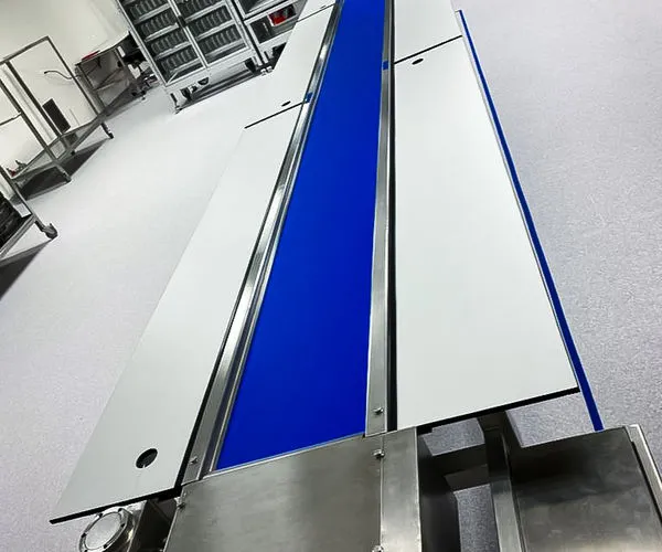 Sistema de conveyor